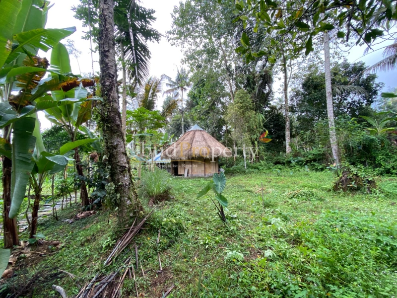 Ubud Property Land For Sale in Ubud Bali