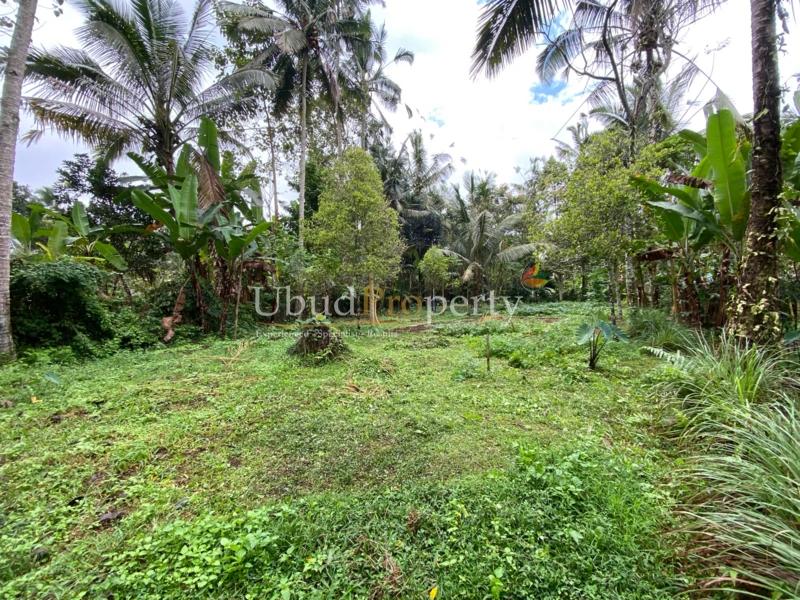 Ubud Property Land For Sale in Ubud Bali