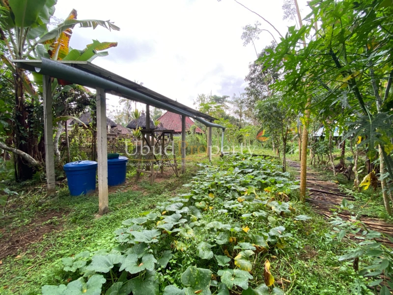 Ubud Property Land For Sale in Ubud Bali