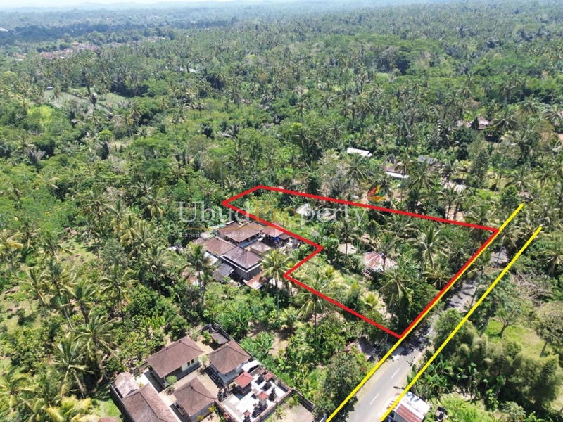 Ubud Property Land For Sale in Ubud Bali