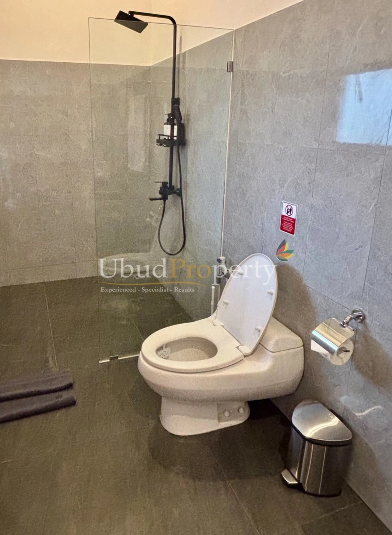 Ubud Property Villa For Sale in Ubud Bali