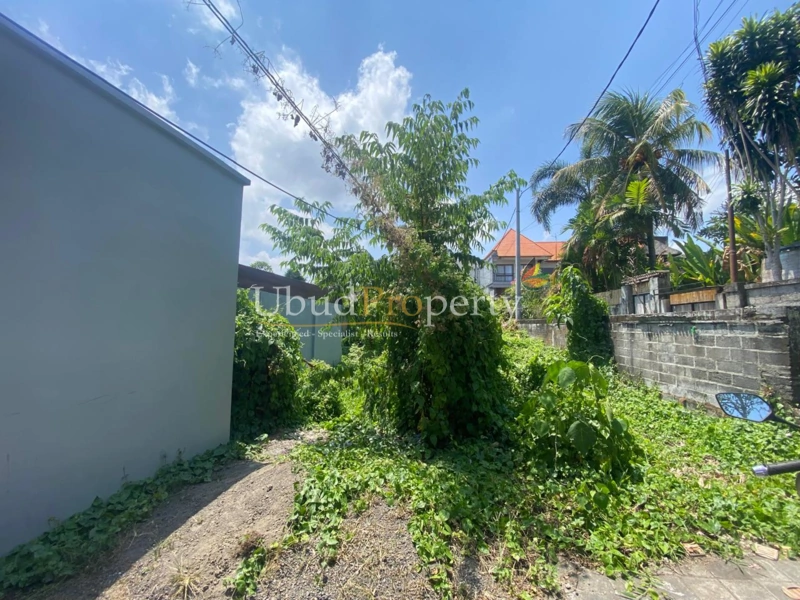 Ubud Property Villa For Sale in Ubud Bali