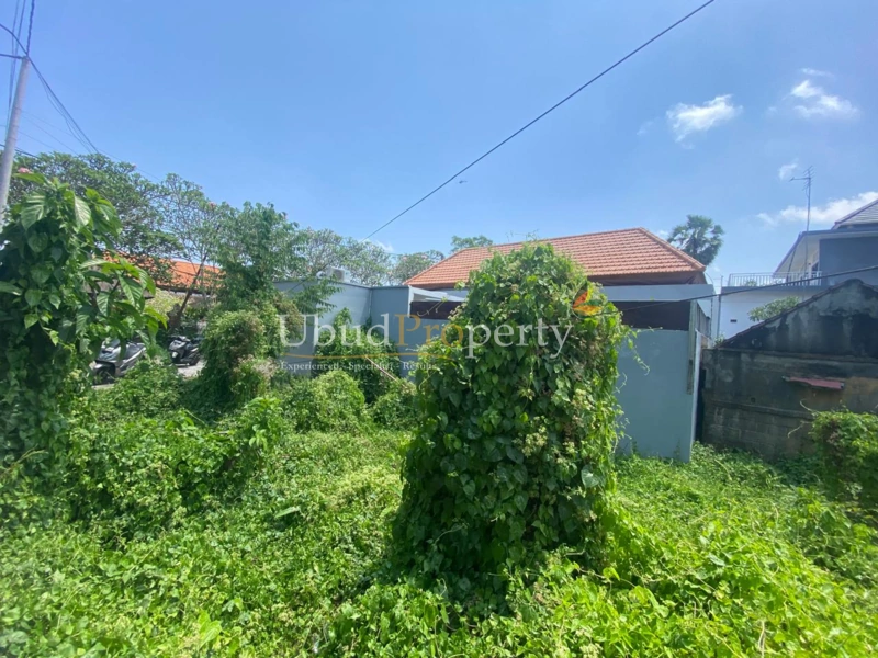 Ubud Property Villa For Sale in Ubud Bali