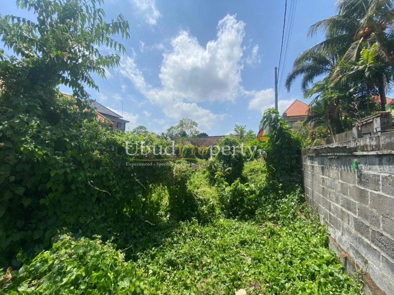 Ubud Property Villa For Sale in Ubud Bali