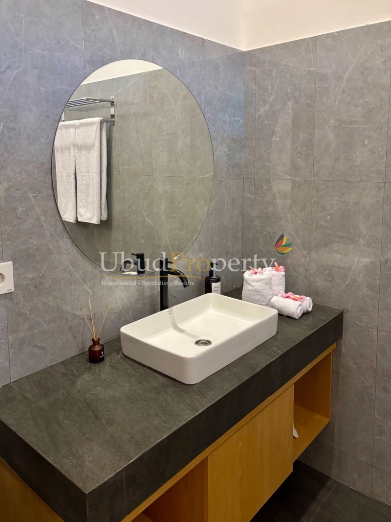 Ubud Property Villa For Sale in Ubud Bali