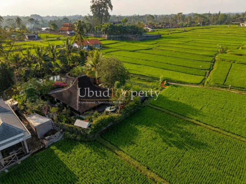 Villa For Sale Freehold in Ubud Bali