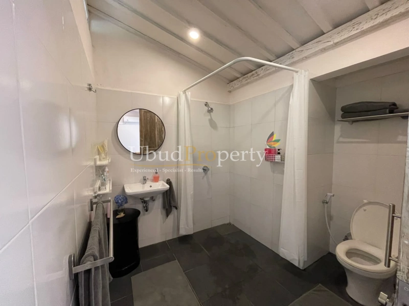 Ubud Property Villa For Sale in Ubud Bali