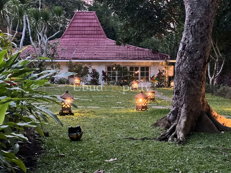 Ubud Property Villa For Sale in Ubud Bali