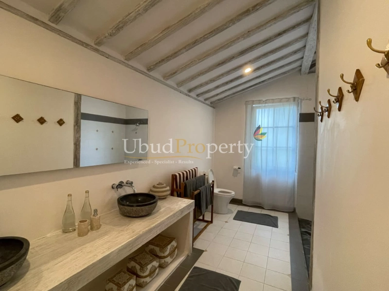 Ubud Property Villa For Sale in Ubud Bali