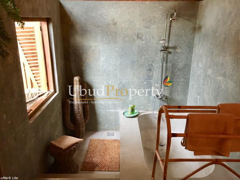 Ubud Property Villa For Sale in Ubud Bali