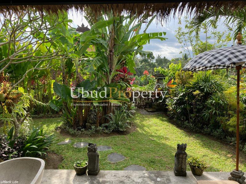 Ubud Property Villa For Sale in Ubud Bali