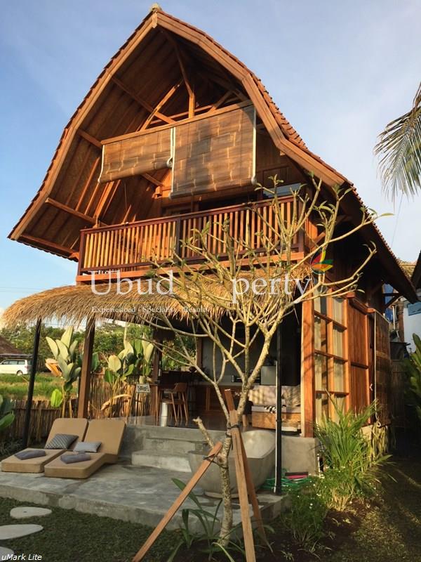 Villa For Sale Leasehold in Ubud Bali
