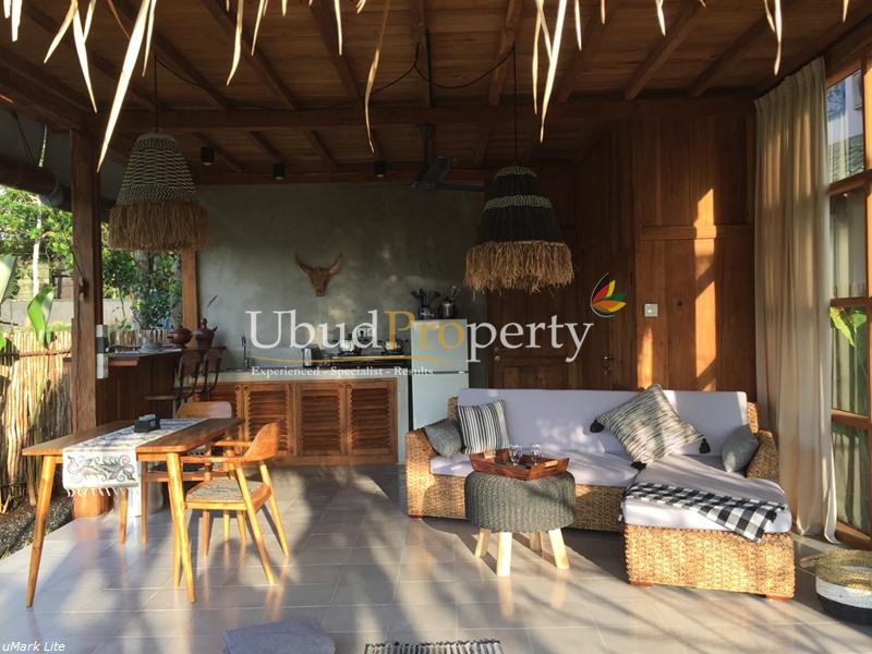 Ubud Property Villa For Sale in Ubud Bali