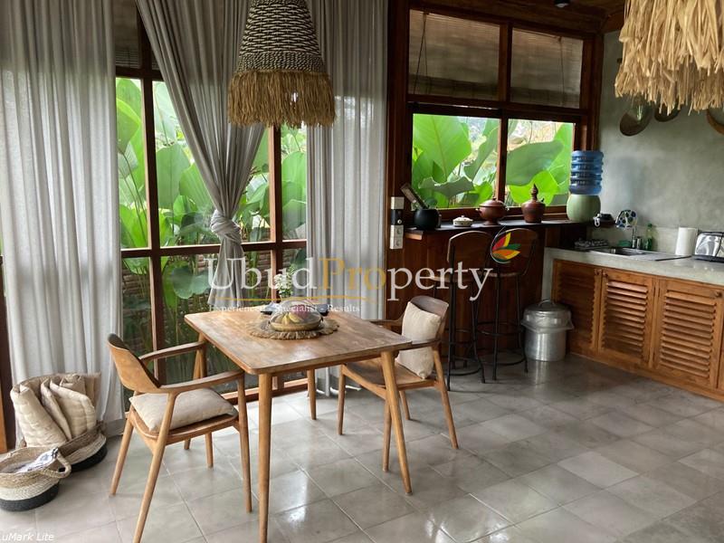 Ubud Property Villa For Sale in Ubud Bali