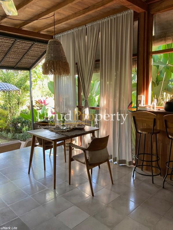 Ubud Property Villa For Sale in Ubud Bali