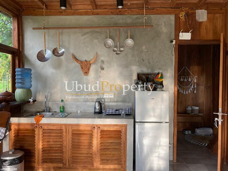 Ubud Property Villa For Sale in Ubud Bali