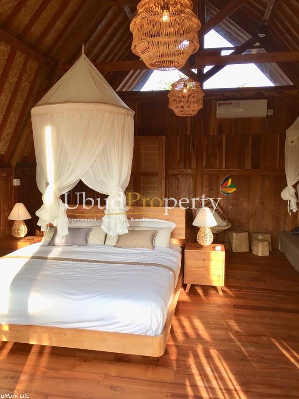 Ubud Property Villa For Sale in Ubud Bali