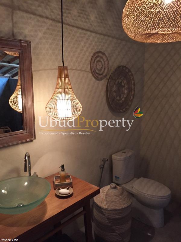 Ubud Property Villa For Sale in Ubud Bali
